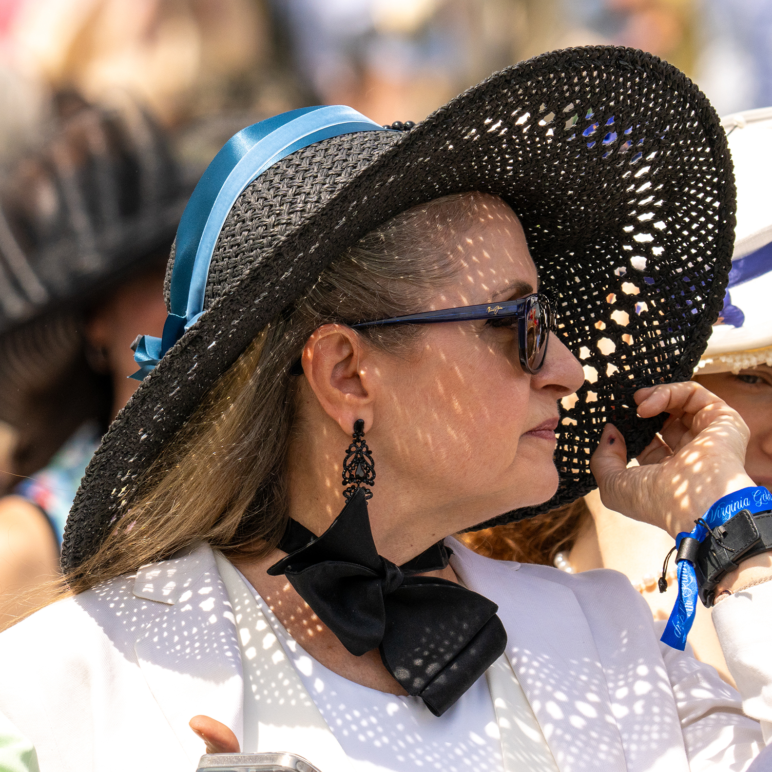 The Virginia Gold Cup